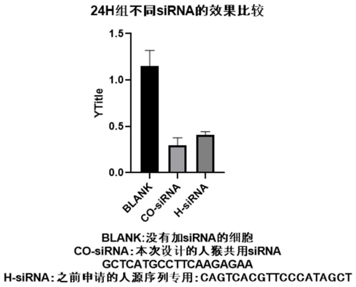 一种抑制肝脏细胞中LOC157273基因表达的siRNA、组合物及应用的制作方法