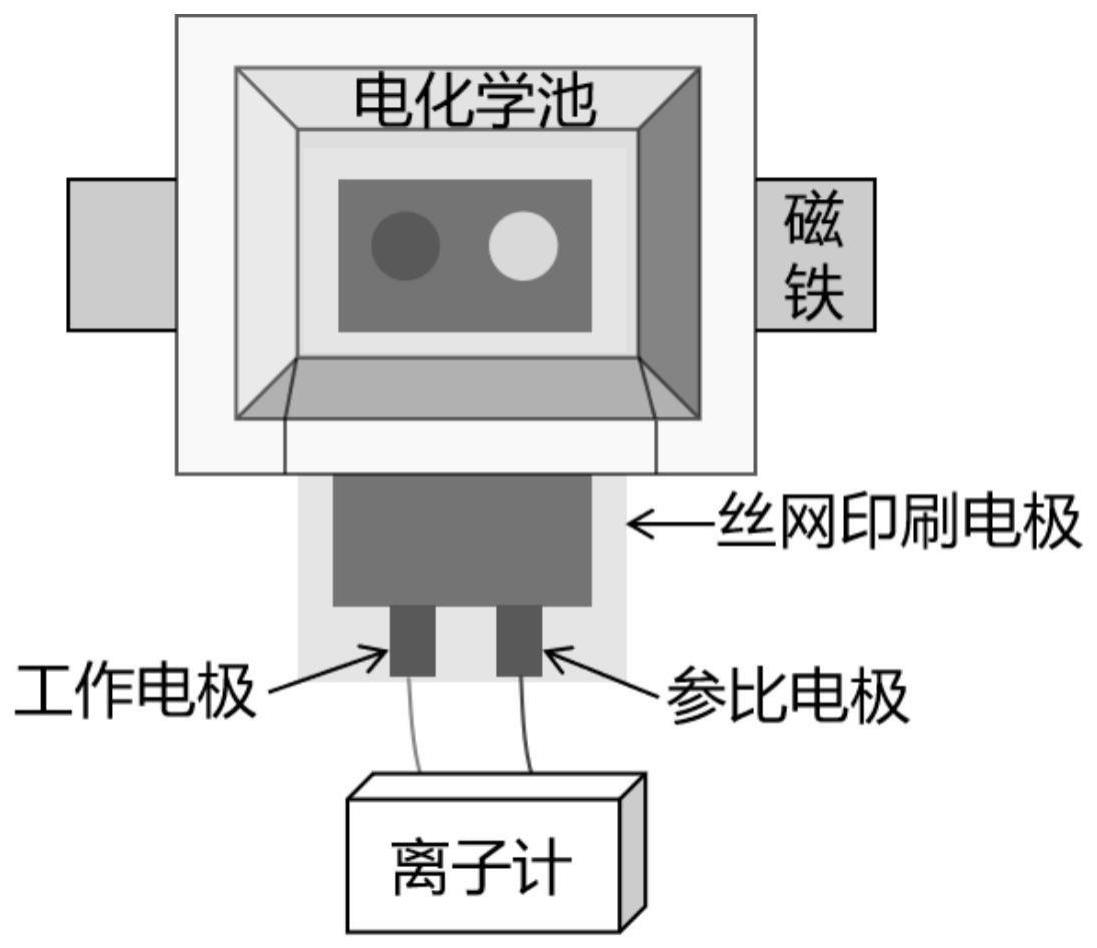 一种酶诱发多肽自组装检测碱性磷酸酶活性的方法及装置