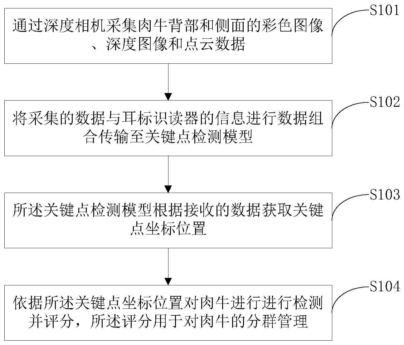 一种基于关键点的肉牛体况评分方法