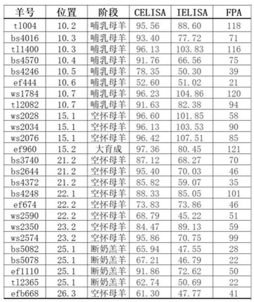 用于检测绵羊布鲁氏菌病抗性的