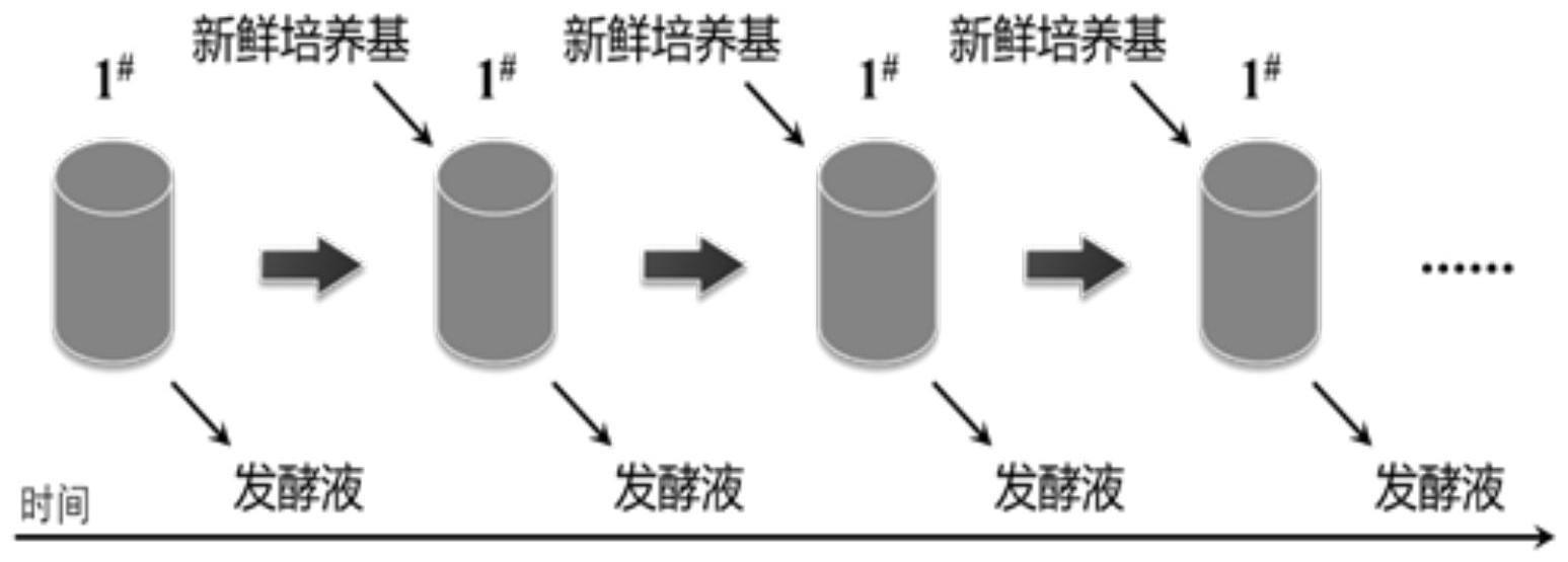 一种通过半连续发酵制备黄原胶的方法与流程