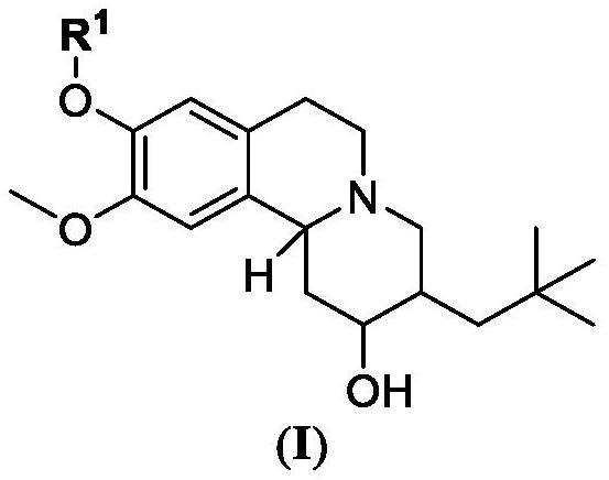 VMAT2的制作方法