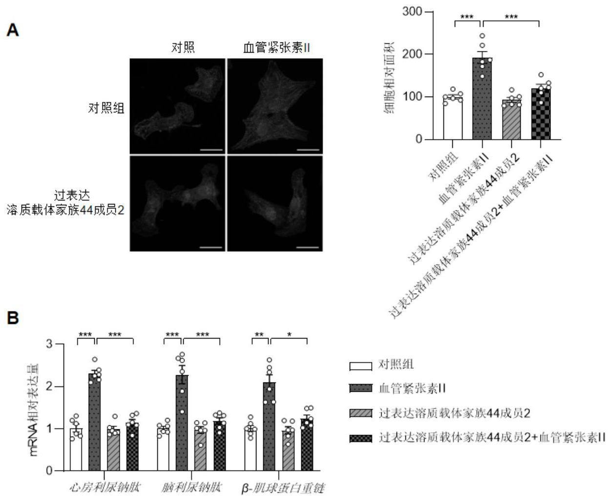 溶质载体家族