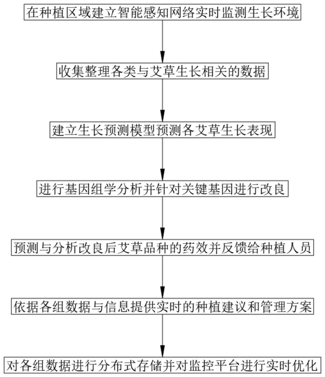 一种艾草品种改良选优的种植方法与流程