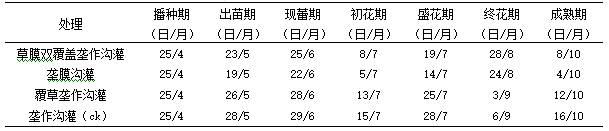 一种脱毒马铃薯草膜双覆盖种植方法与流程