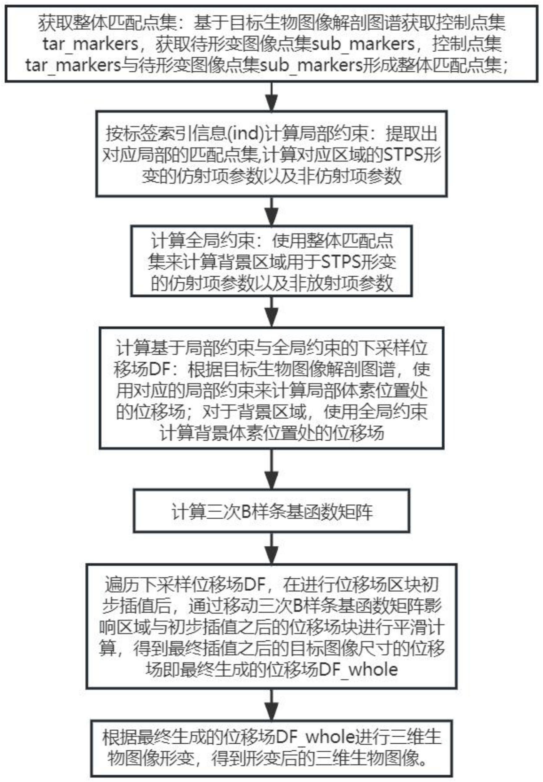 一种基于局部和全局联合约束的三维生物图像形变方法