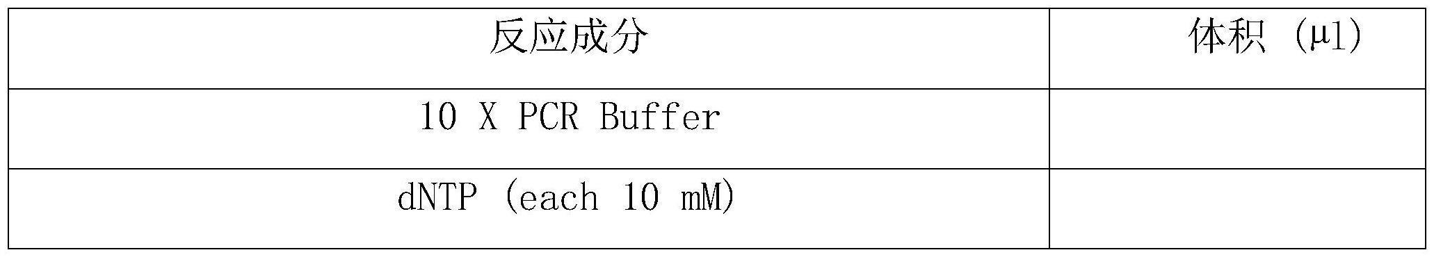 一种筛选获得野生寒兰菌根共生真菌的方法与流程