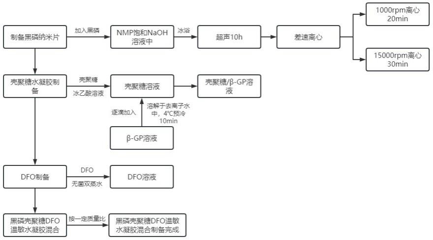 一种黑磷壳聚糖的制作方法