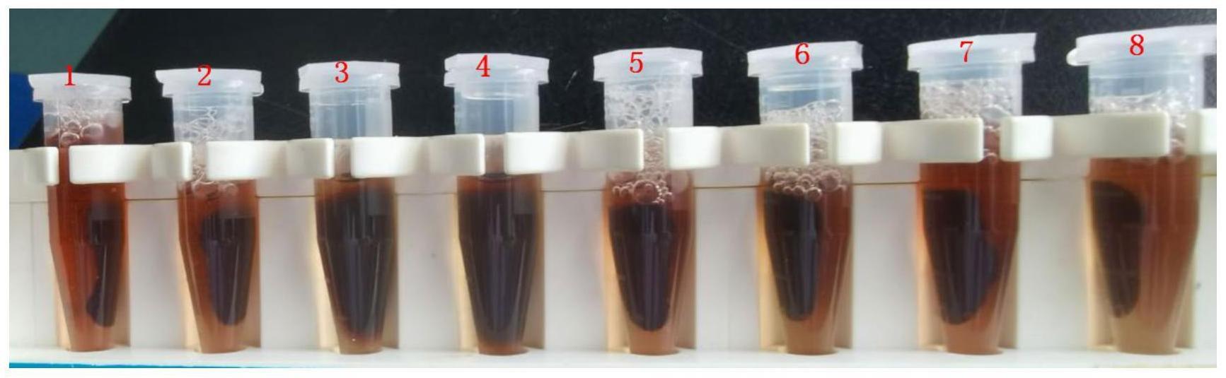 一种尿液免提取直接亚硫酸盐转化的甲基化检测样本前处理试剂盒及应用的制作方法