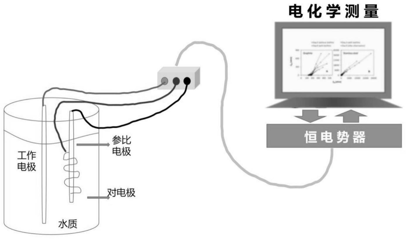 一种基于电化学阻抗谱的生物膜传感快速检测给水管网中