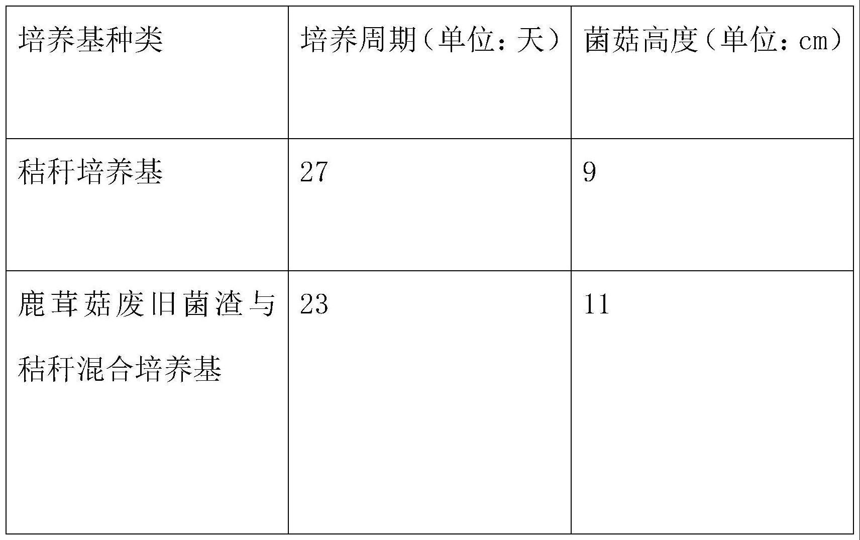 一种基于鹿茸菇菌渣循环利用生产双孢蘑菇的方法与流程