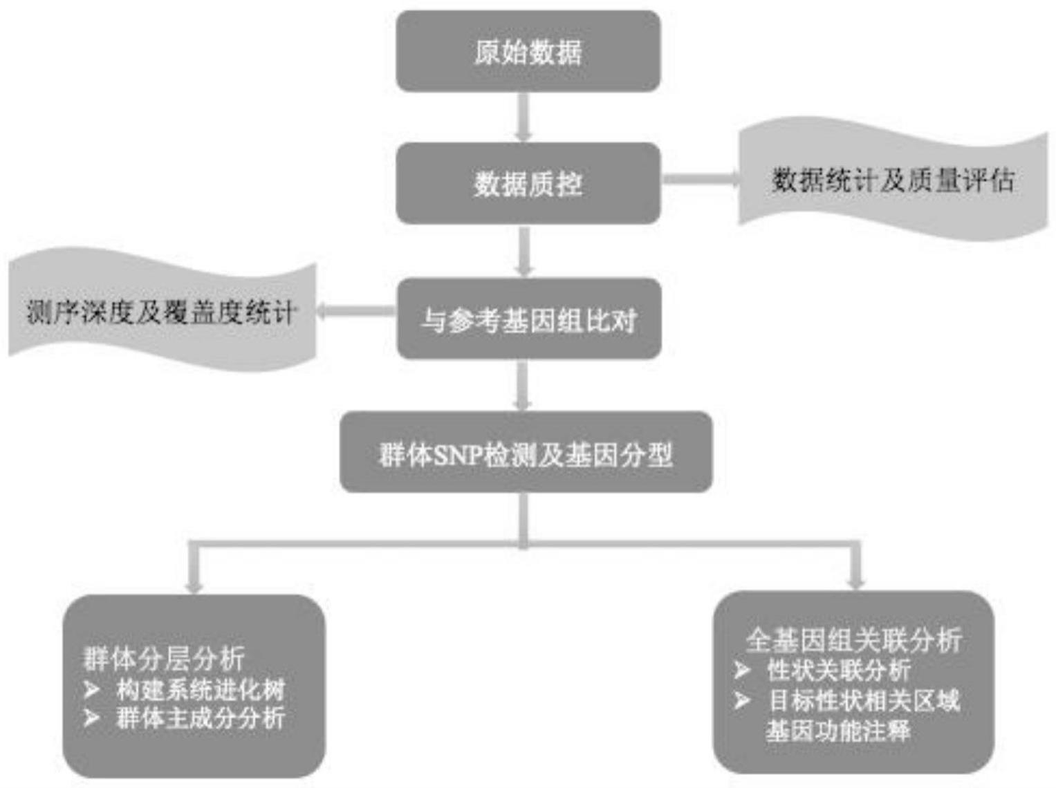 一种用于水牛的的制作方法