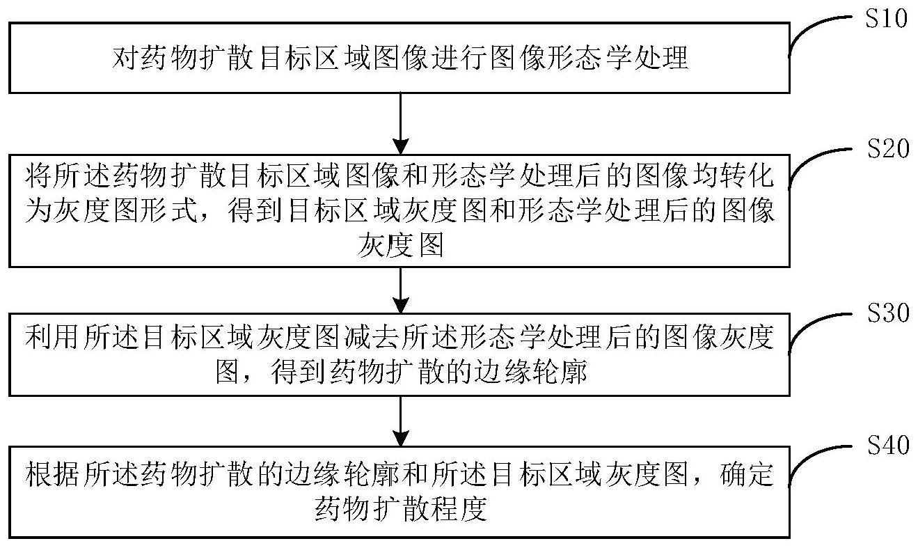 药物扩散程度的确定方法与流程