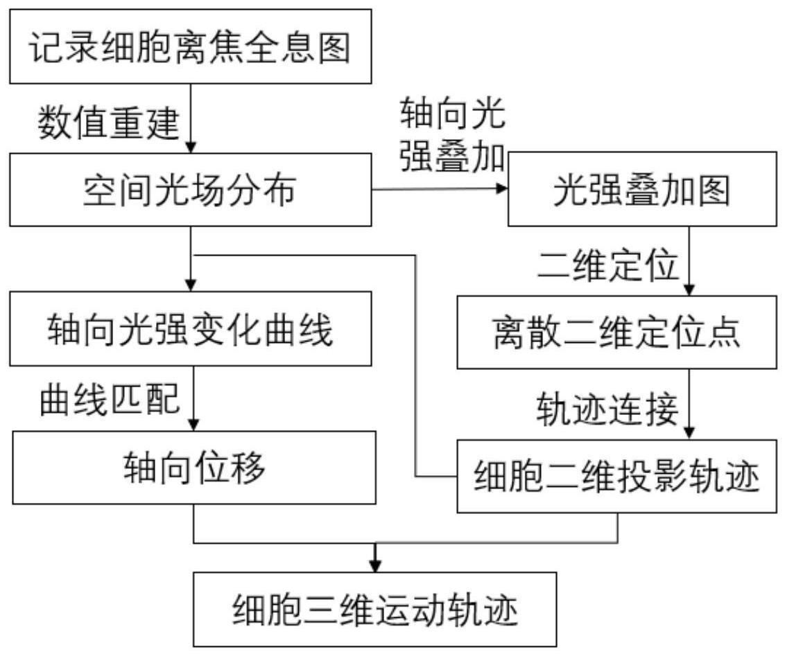 一种细胞三维运动的定位与追踪方法