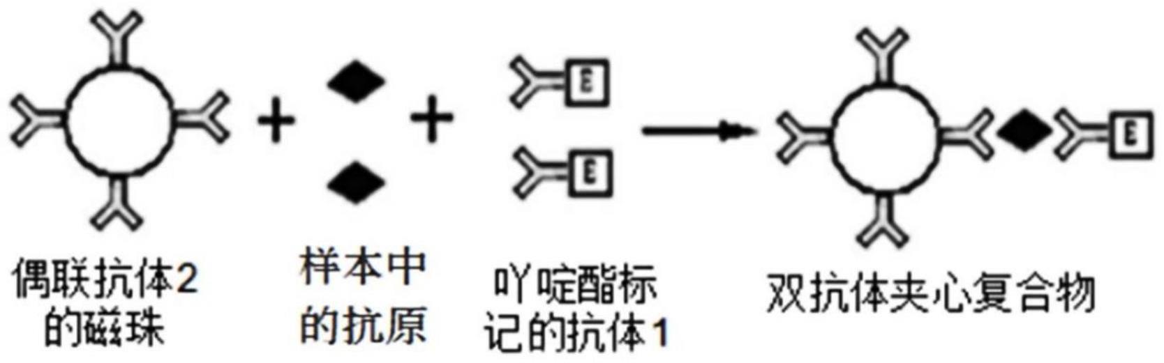 一种免疫磁珠保存液的制作方法