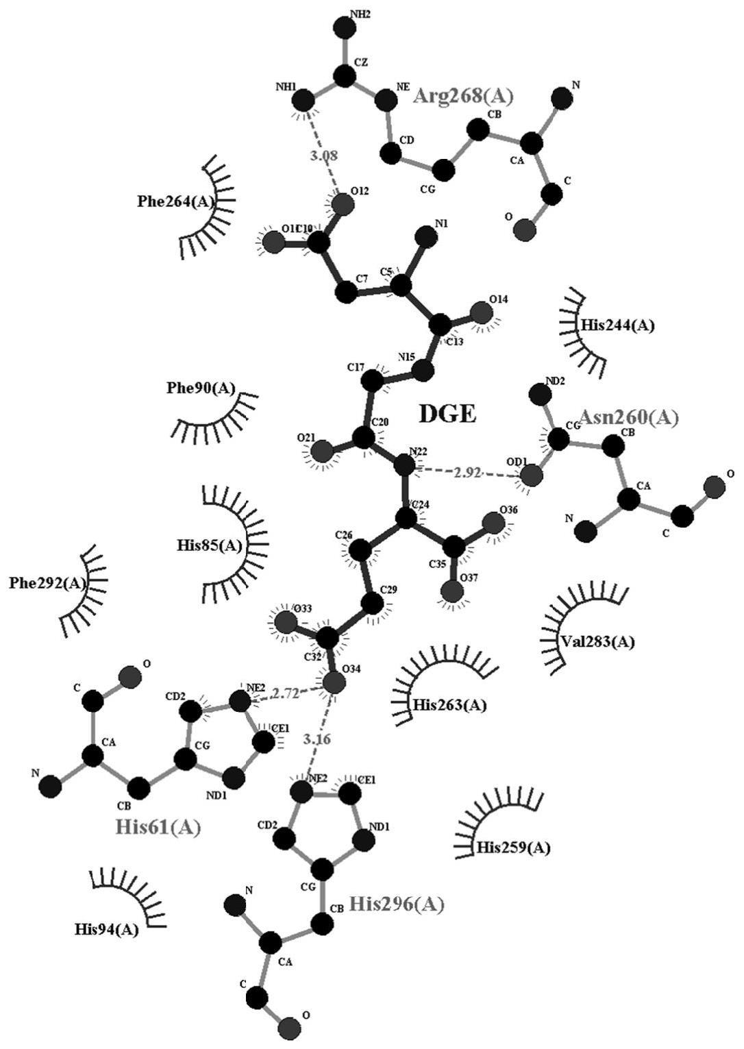 一种椰子源活性肽及其应用