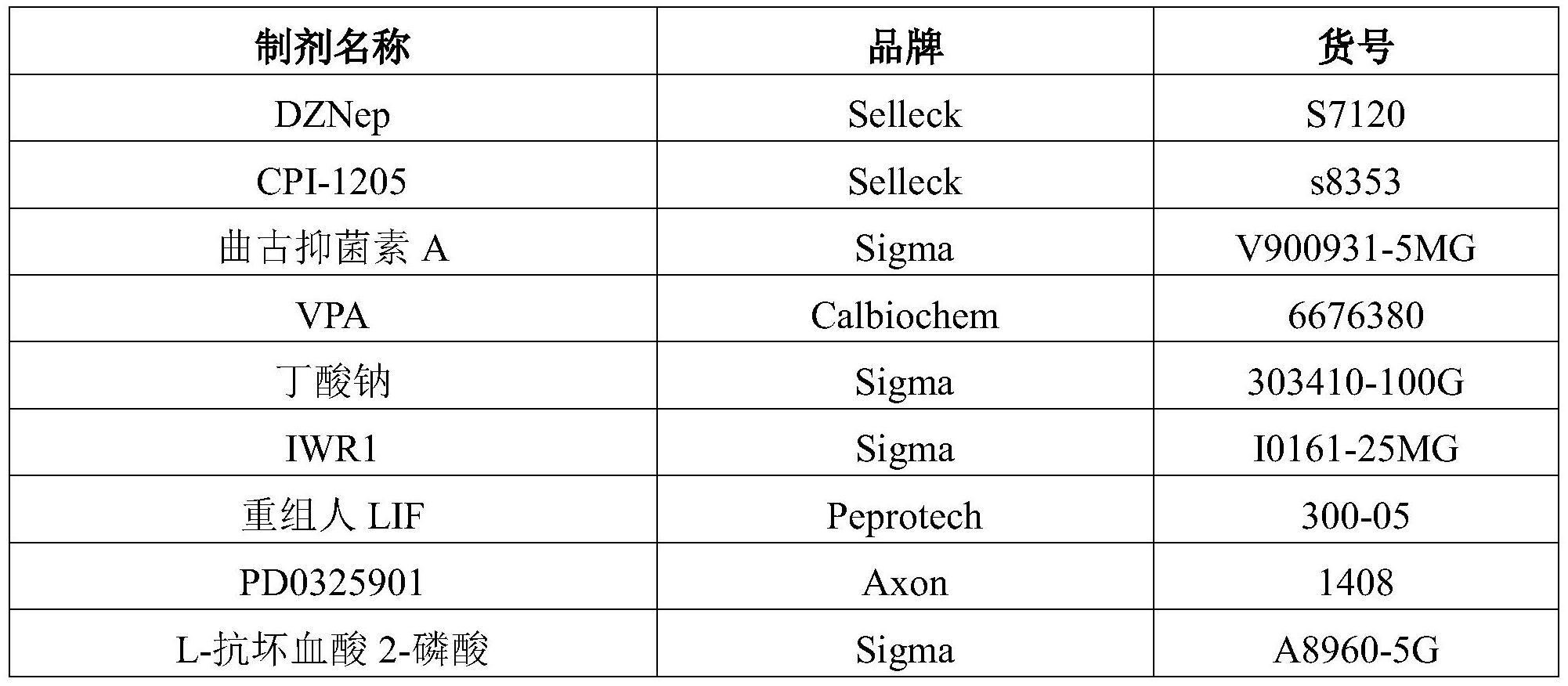 用于建立和维持早期胚胎样细胞的培养基和方法与流程