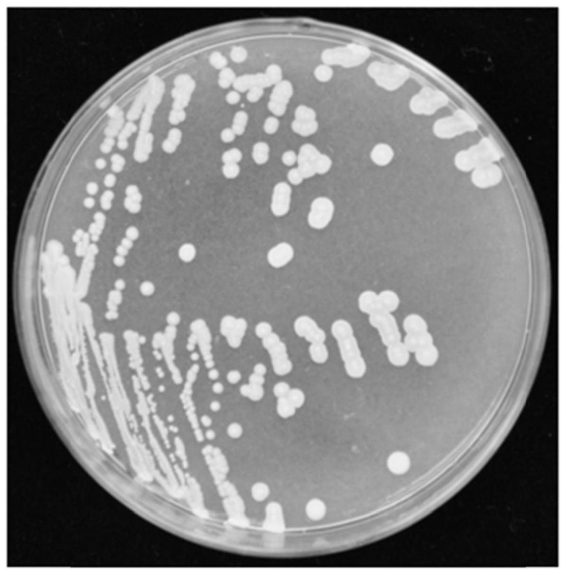 一种生物有机肥及其制备方法与流程