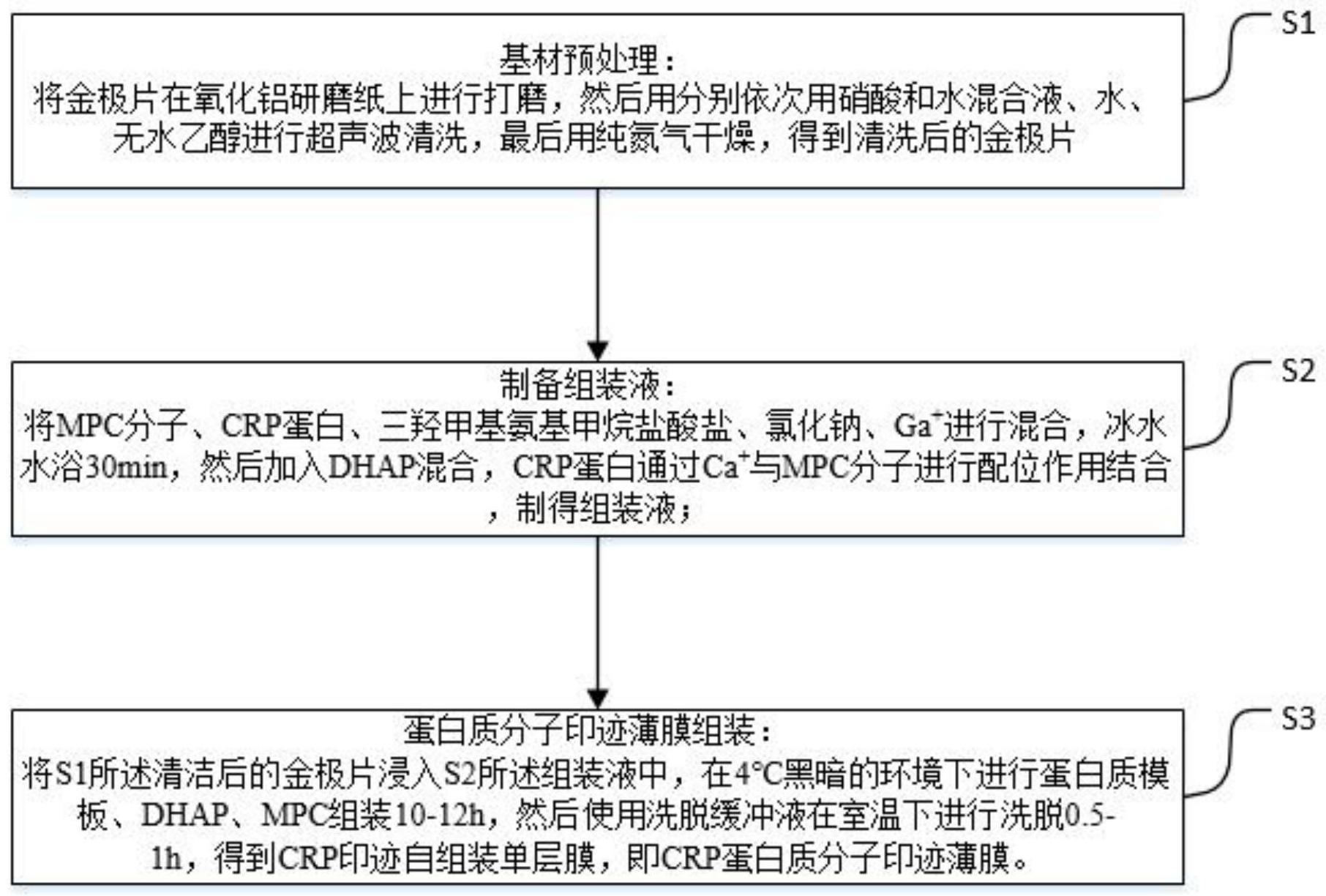 一种蛋白质分子印迹薄膜的制备方法及其应用