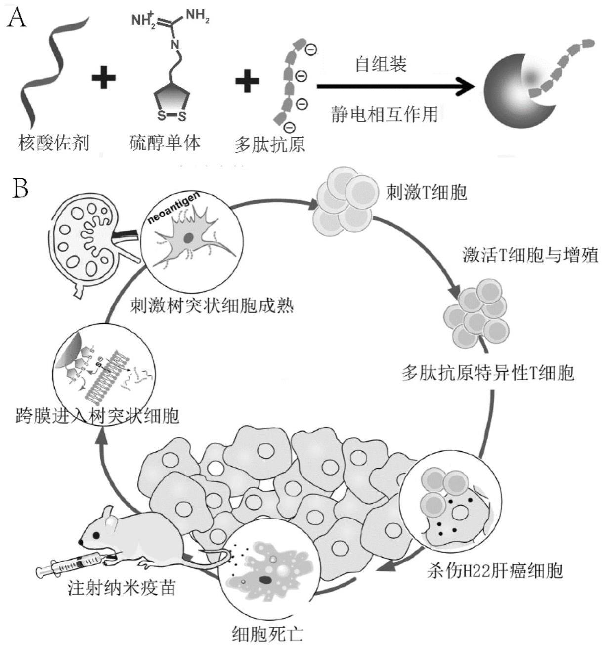 含有至少2个硫原子的杂环化合物在制备纳米疫苗中的应用及制得的纳米疫苗的制作方法