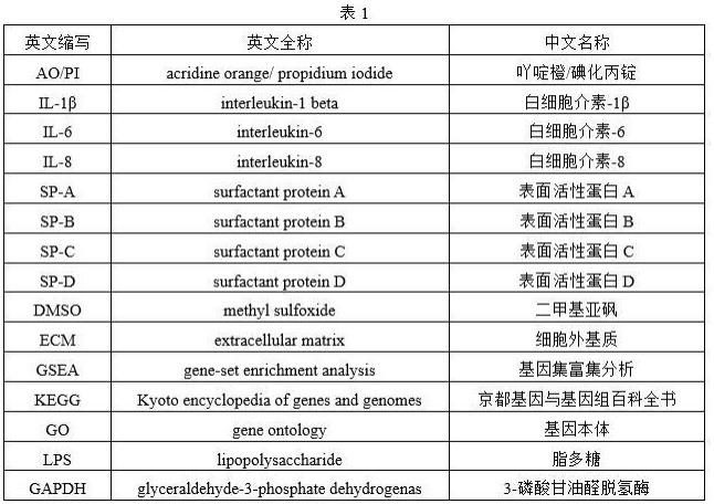 一种三维肺上皮细胞聚集体及其作为肺炎症模型的应用