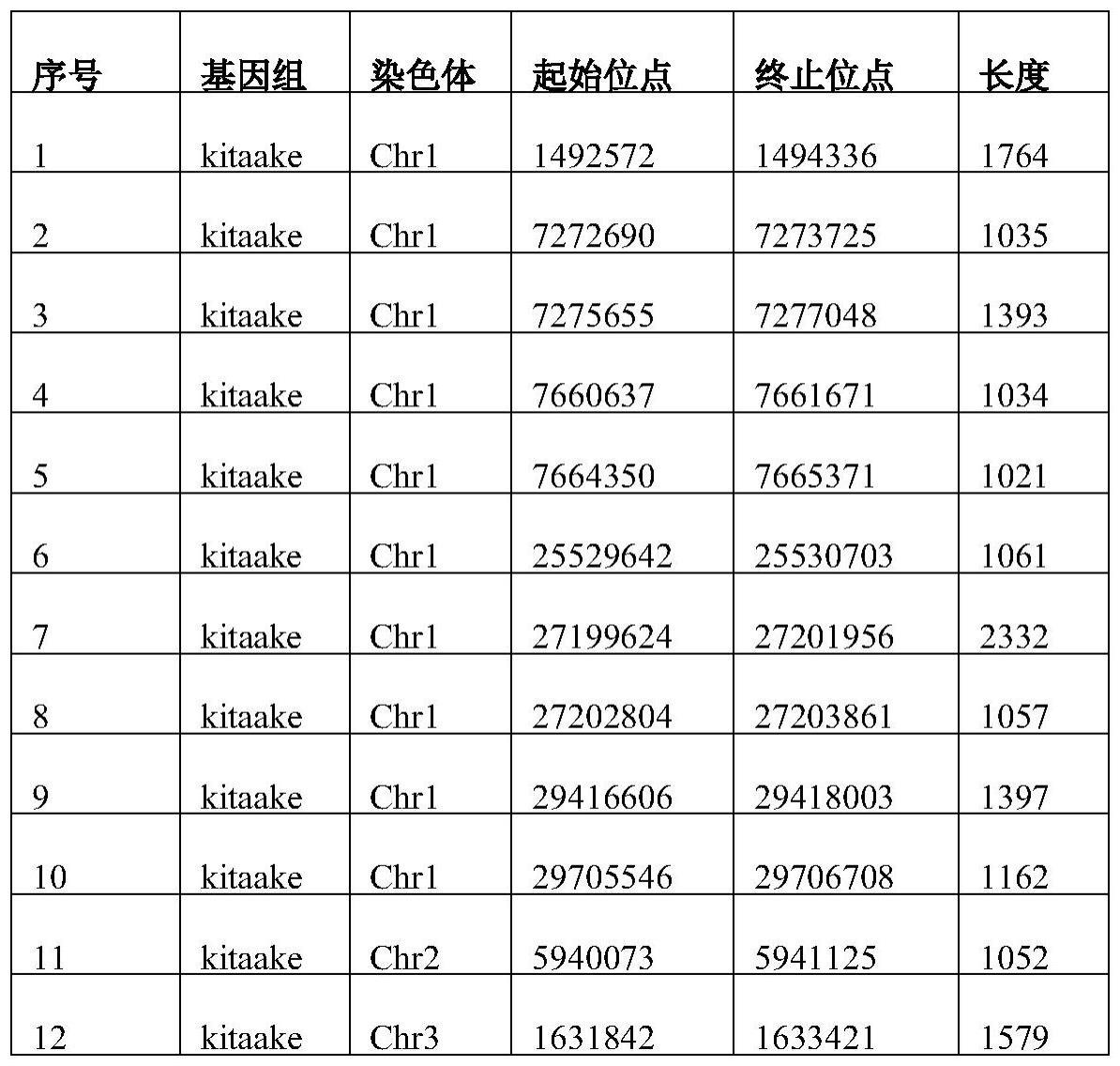 一种在基因组中定点插入外源序列的方法