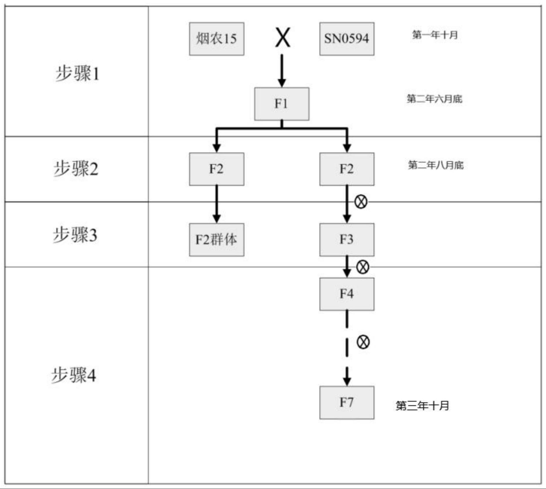 一种快速创建冬小麦