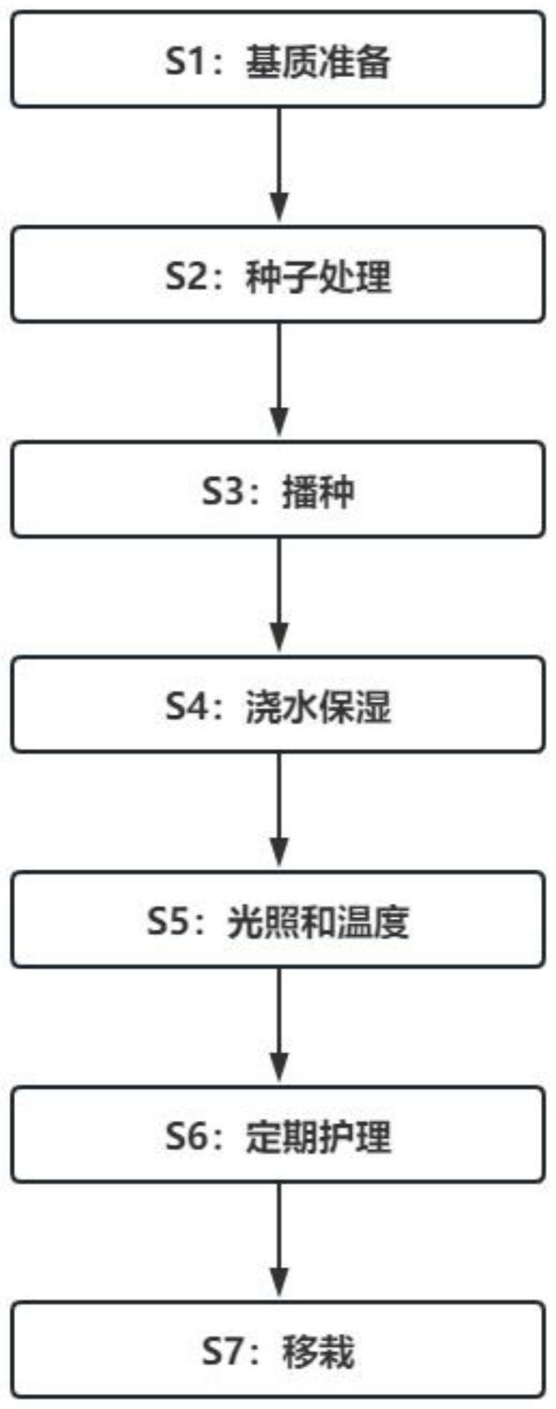 一种薄皮山核桃容器育苗种植方法与流程