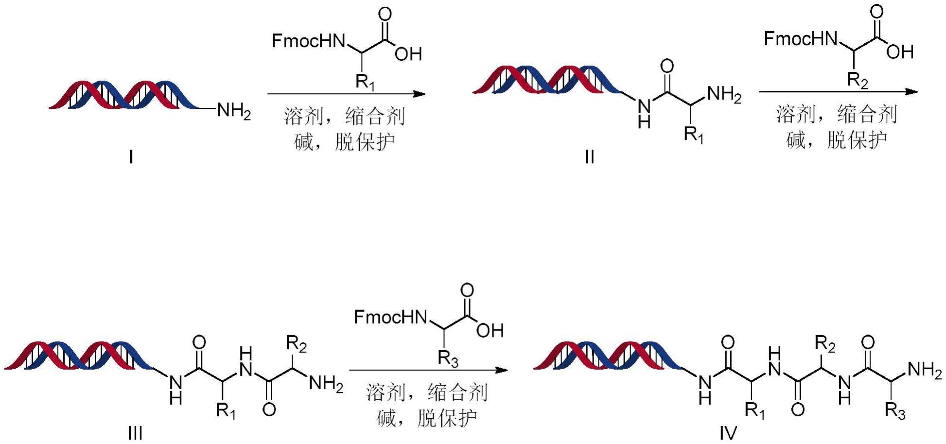 DNA-NH-的制作方法