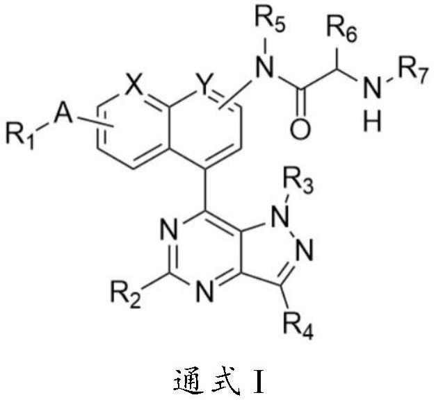 苯并吡啶类化合物及其制备方法和应用与流程