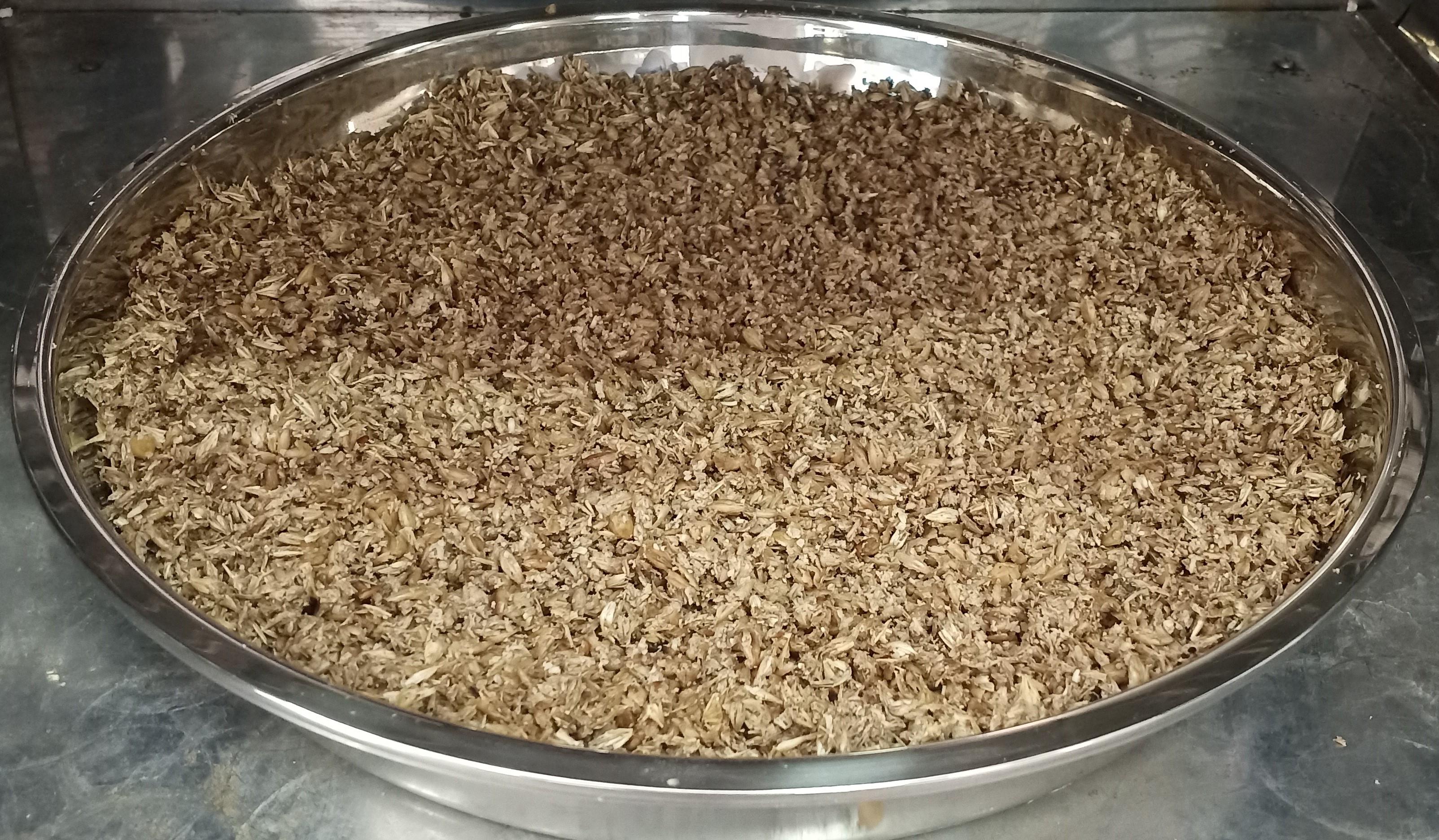一种啤酒糟和碎玉米混合物挤压膨化棒食品的制作方法与流程