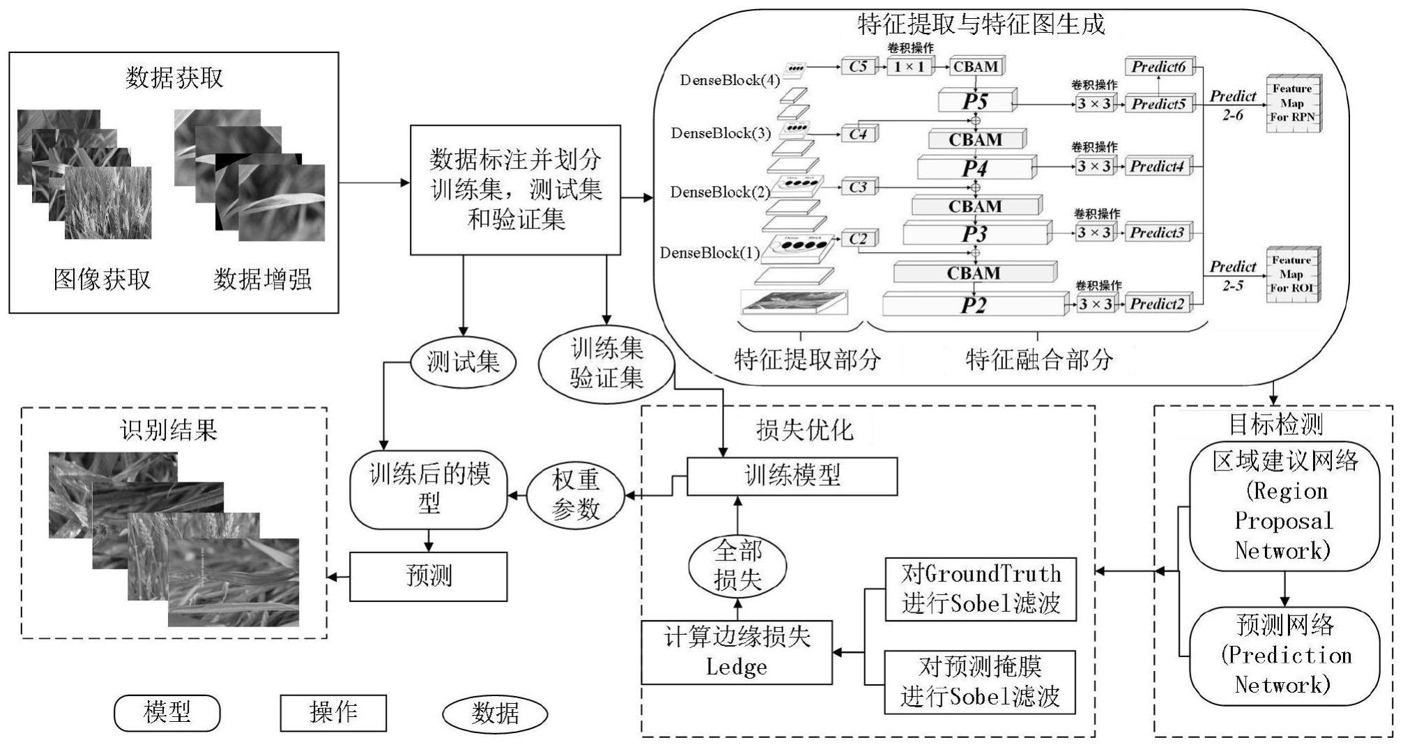 一种田间小麦病虫害识别方法、装置及存储介质