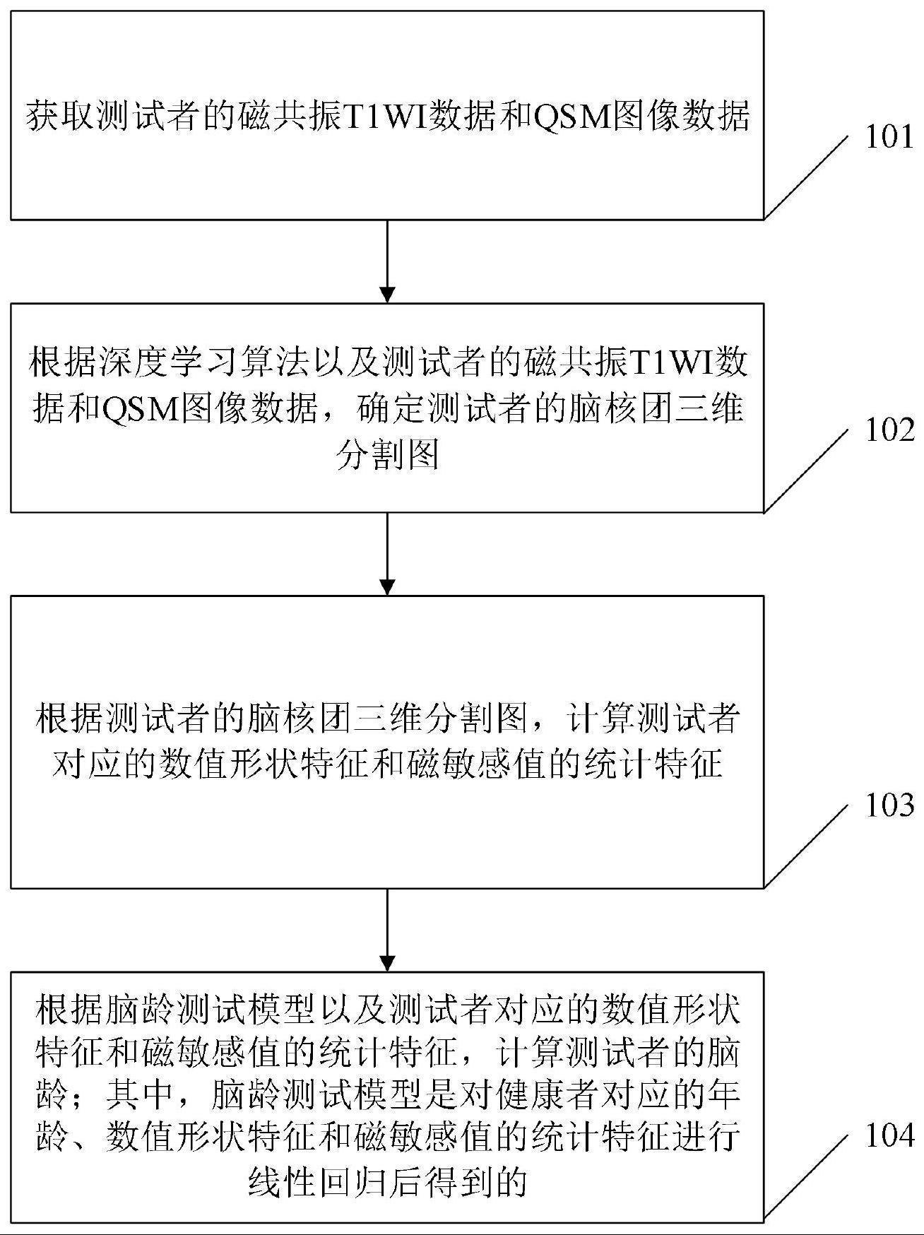 基于T1WI和QSM的深度学习脑龄测试方法及系统