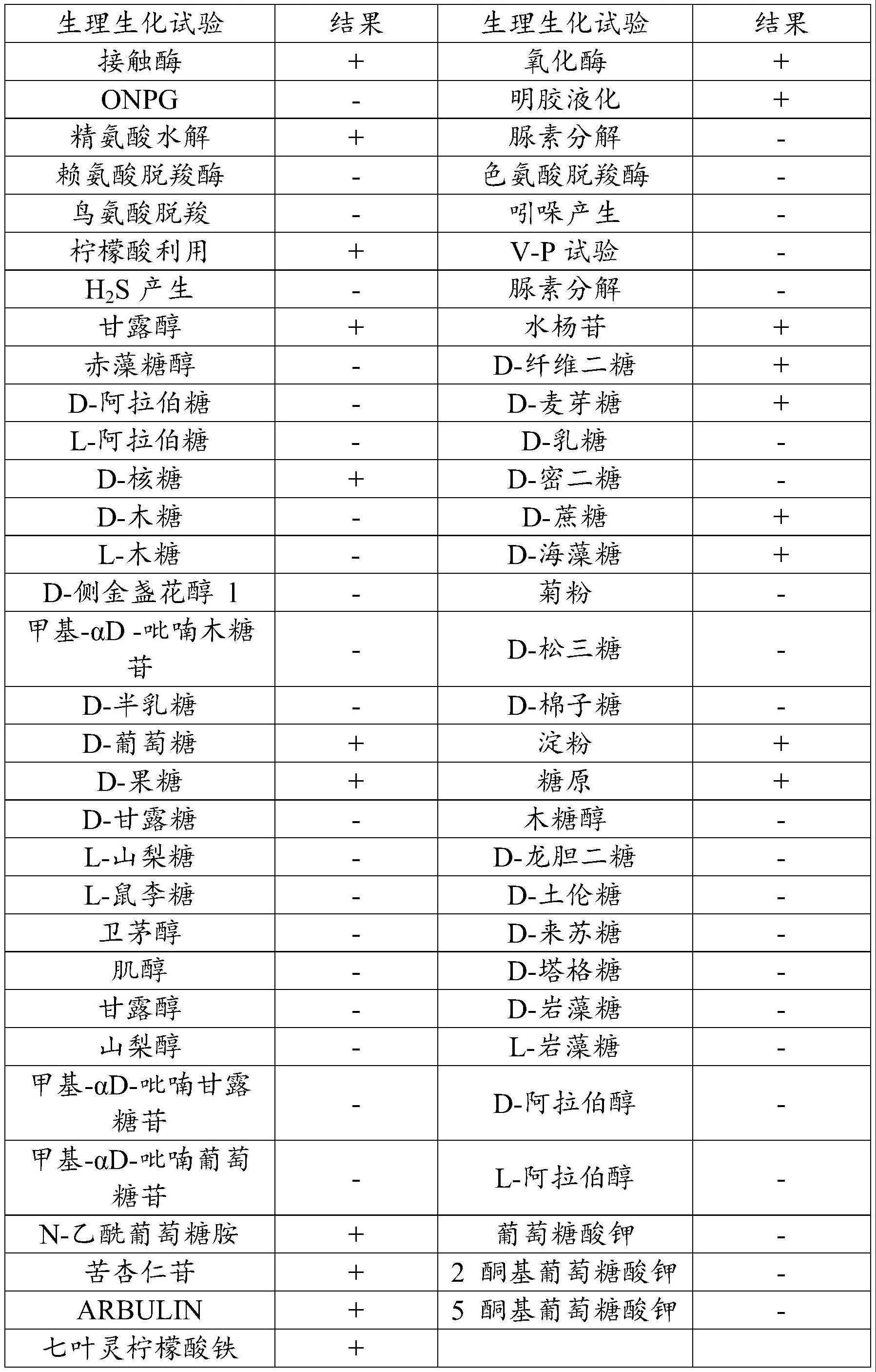 蜡样芽孢杆菌及其应用、抗菌剂的筛选方法与流程