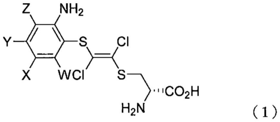 D-萤光素及D-萤光素衍生物、以及这些化合物的前体、以及它们的制造方法