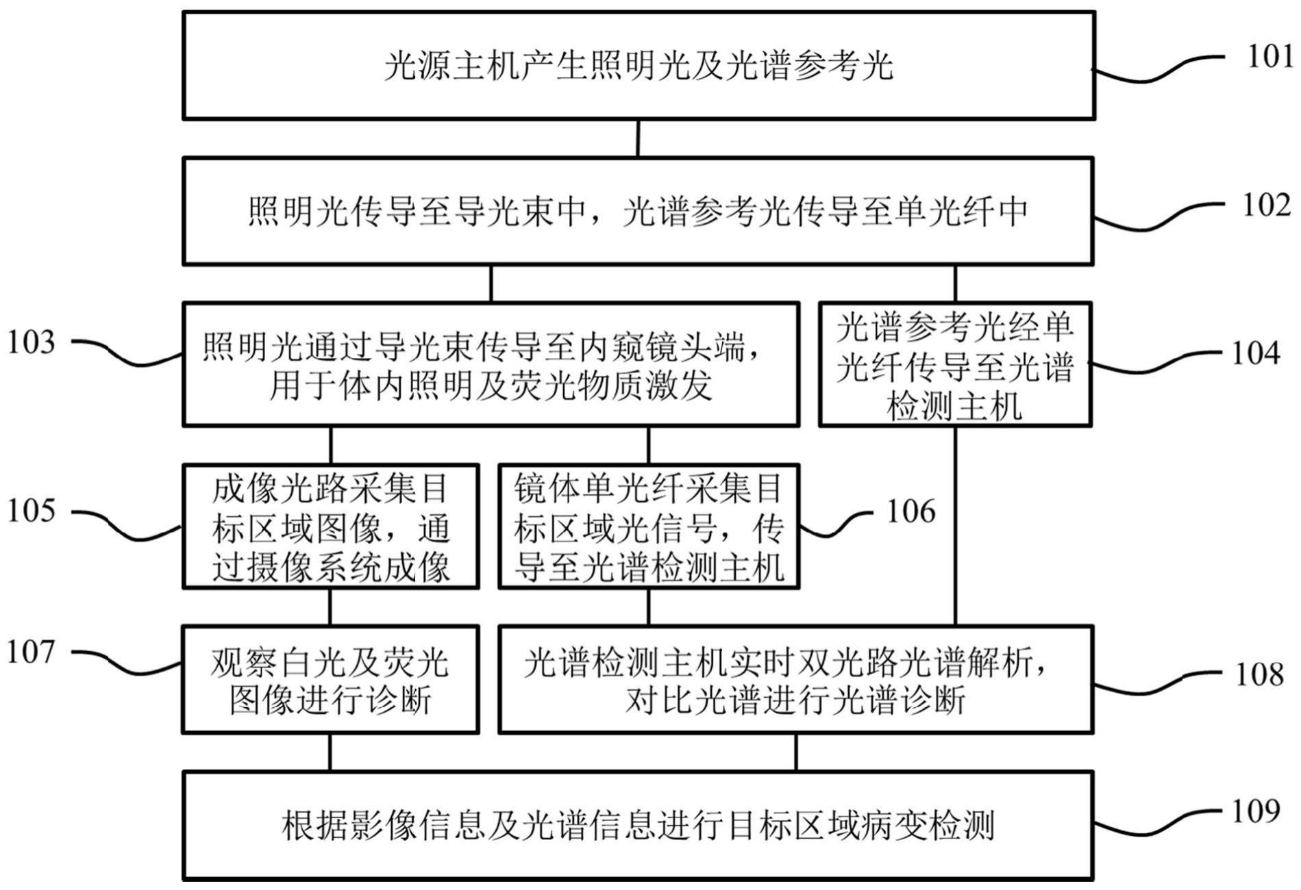 一种基于内窥镜的影像和光谱联合检测系统及其使用方法与流程