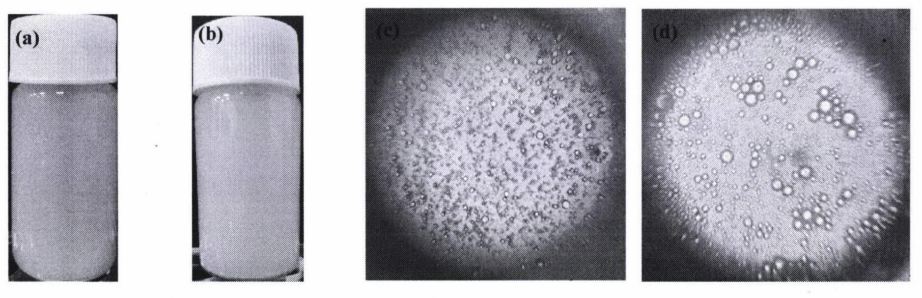 一种用于修复含水层中氯代烃污染的生物地球化学转化材料及其制备方法