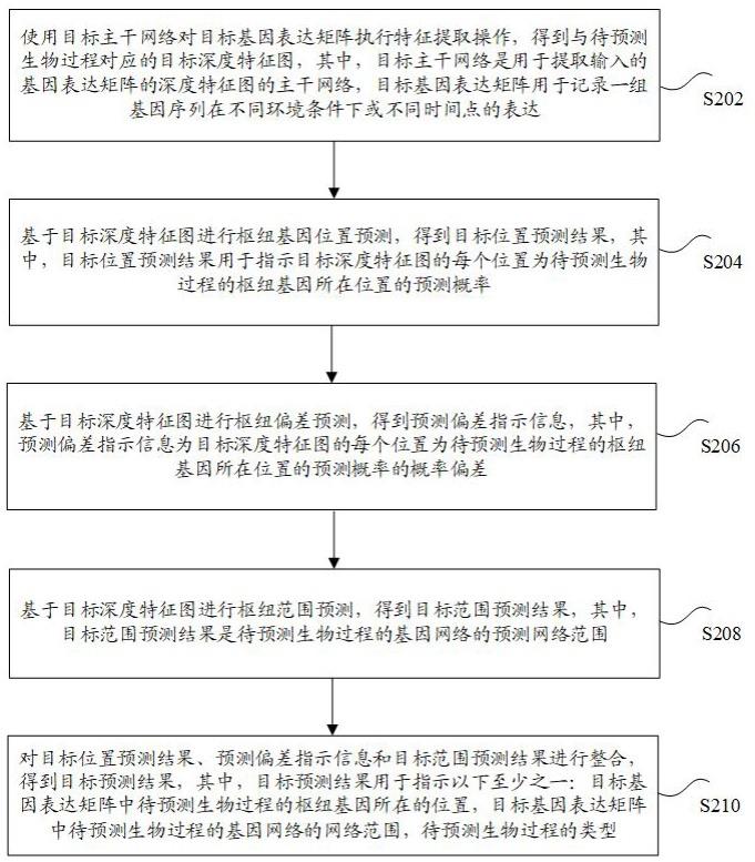 基于神经网络的信息预测方法、装置及电子设备与流程