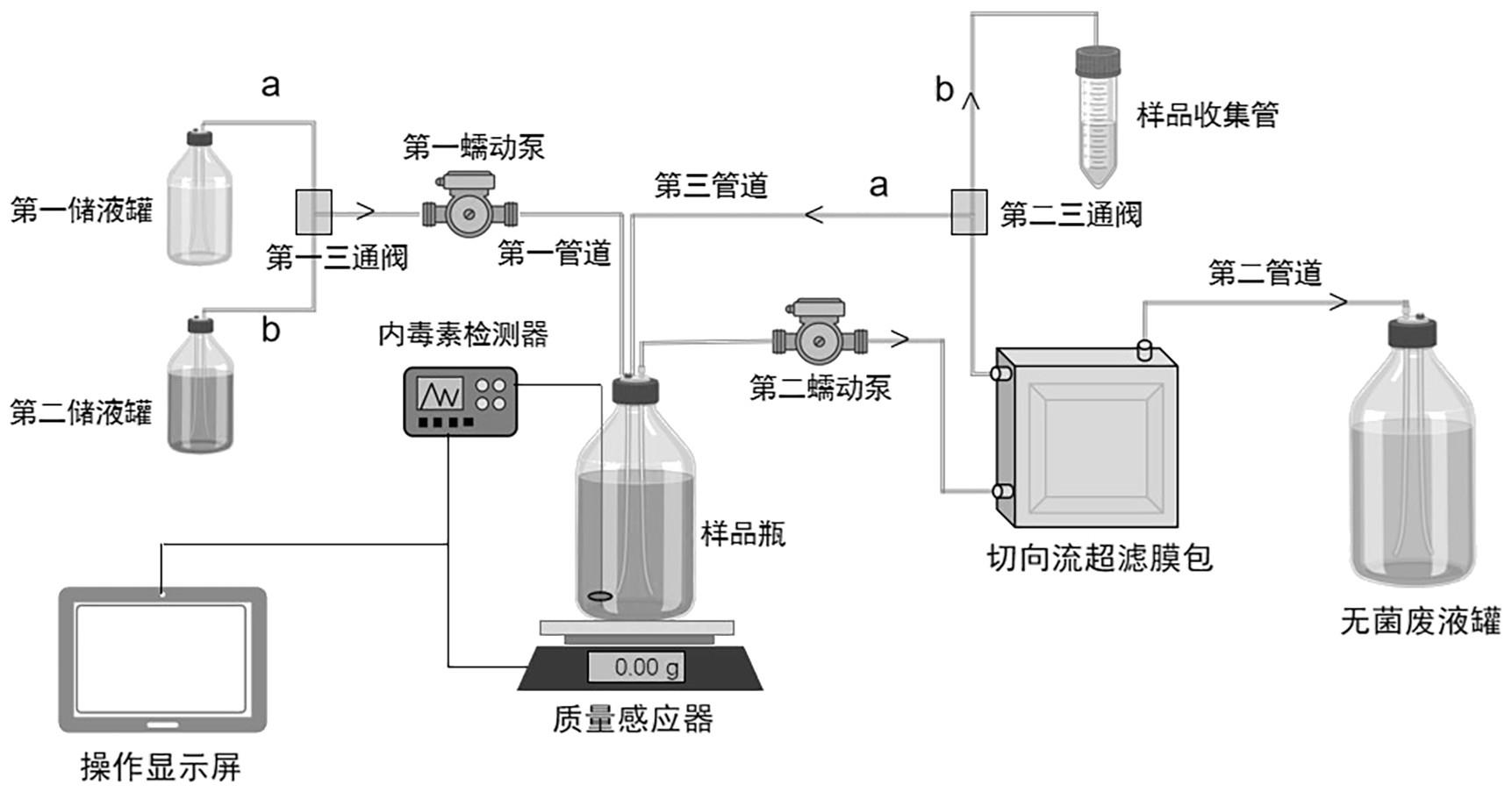 一种低内毒素噬菌体制剂的制备方法及其制备系统与流程