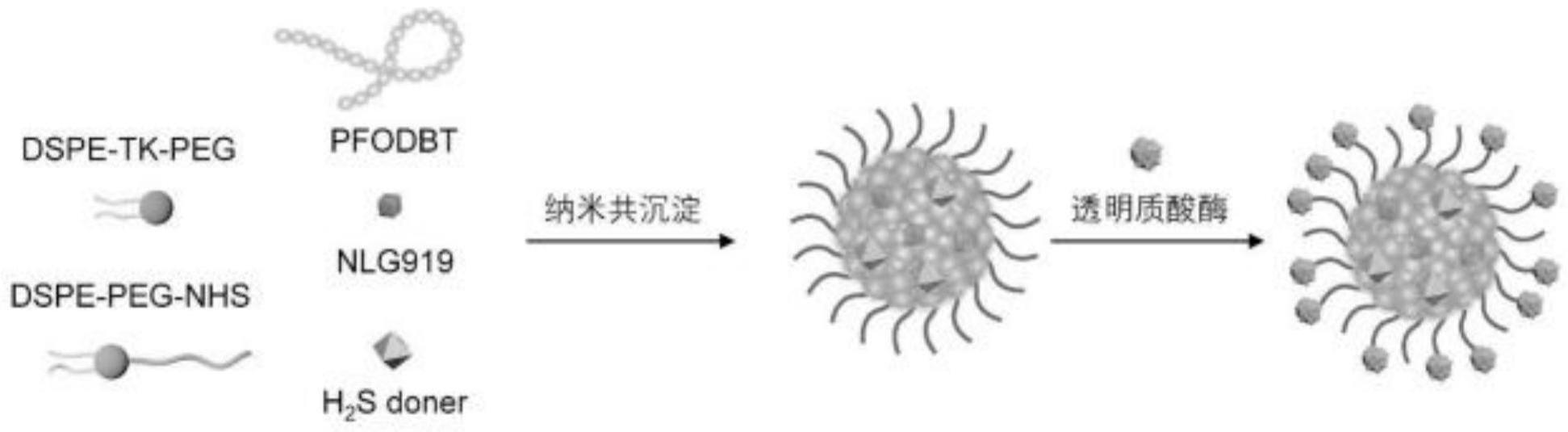 一种多功能声激活型半导体聚合物纳米免疫药物及制备方法及应用