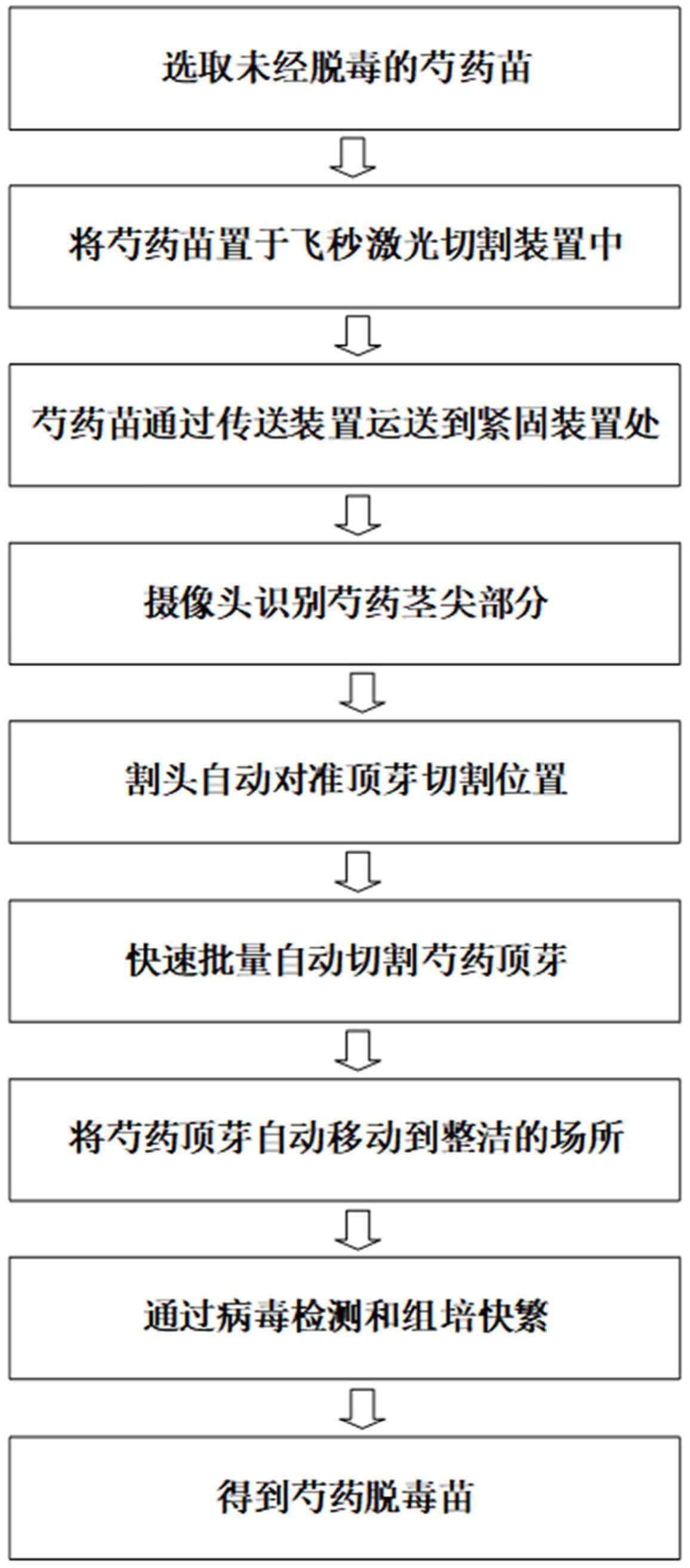 一种芍药茎尖剥离脱毒切割方法及系统与流程