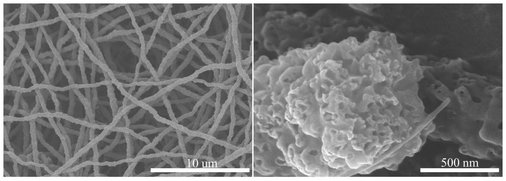 一种分级多孔的碳纳米纤维及其制备和应用