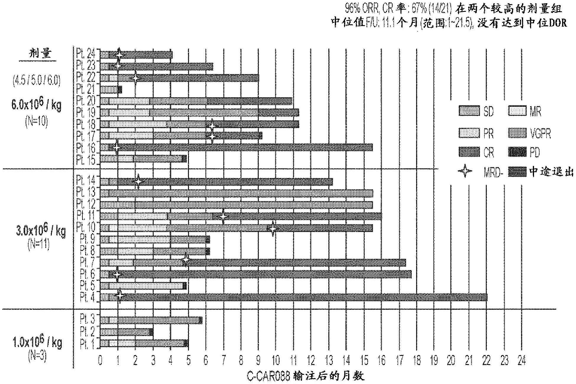 靶向BCMA的嵌合抗原受体的制作方法