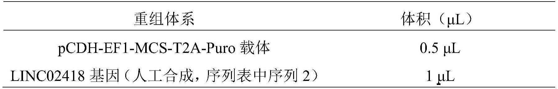 一种长链非编码RNA在PD-L1单克隆抗体治疗中的应用