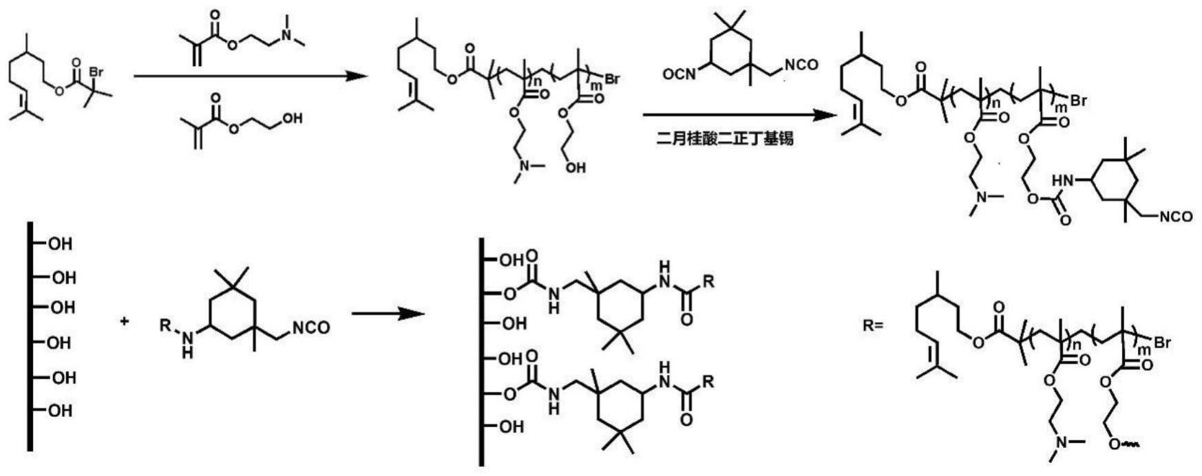 一种香茅醇基抗菌聚合物及其制备方法和应用