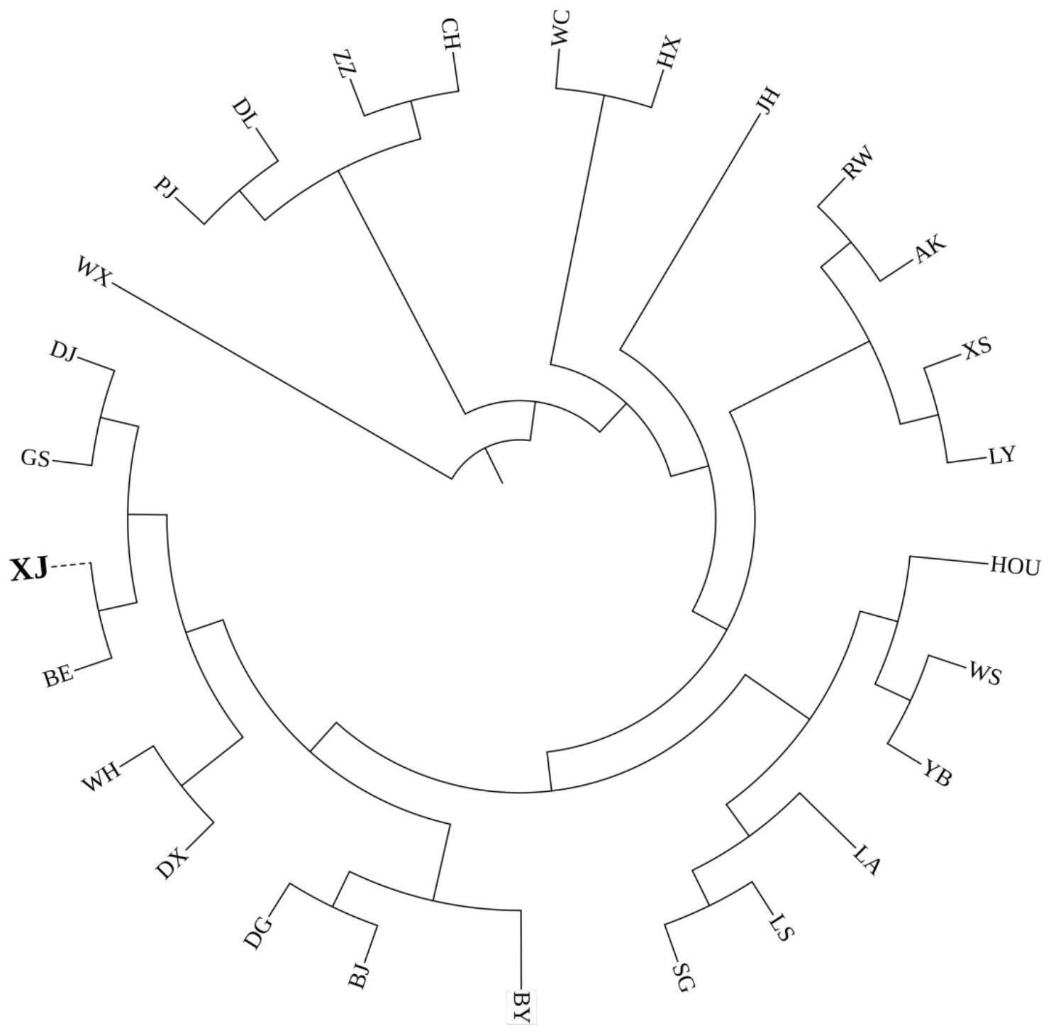 一种鉴定仙居鸡品种的SNP分子标记、SNP分子标记组合及其应用和鉴定方法与流程