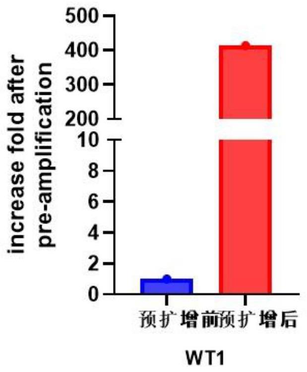 检测肿瘤组织中抗原WT1表达水平的引物、探针和方法与流程