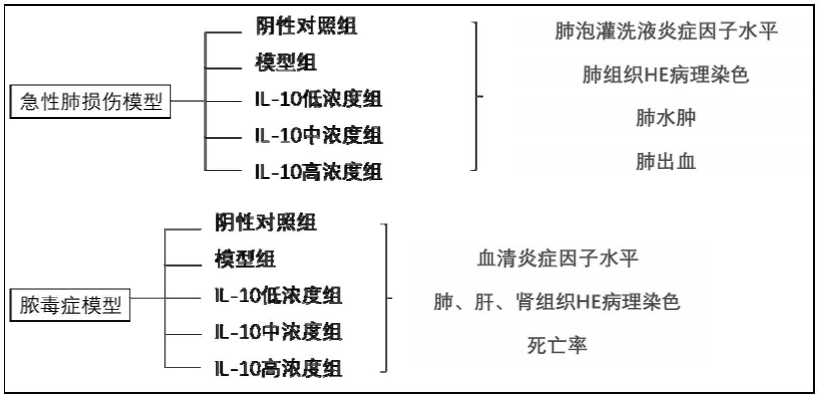 一种治疗细胞因子风暴的药物及其应用的制作方法