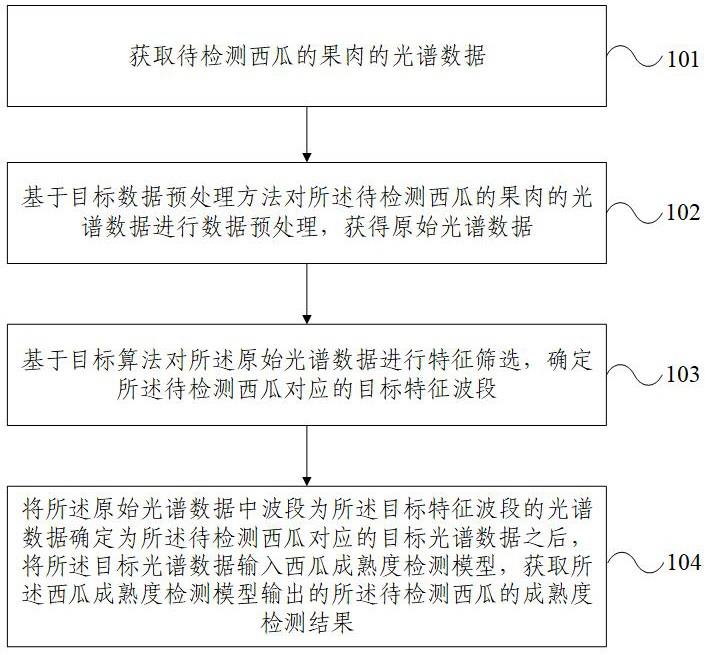 西瓜成熟度检测方法、装置、系统、电子设备及存储介质