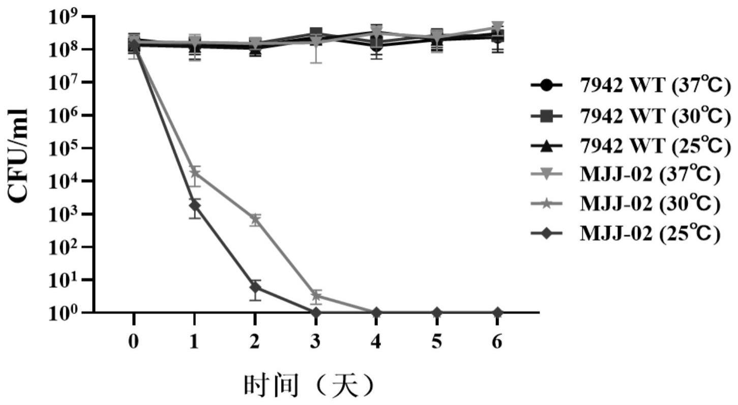 适用于模式蓝细菌聚球藻PCC7942的生物防逃逸系统及构建方法和应用